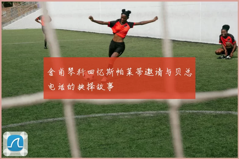 舍甫琴科回忆斯帕莱蒂邀请与贝总电话的抉择故事