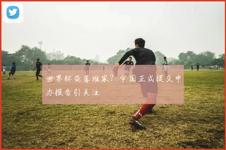 世界杯花落谁家？中国正式提交申办报告引关注