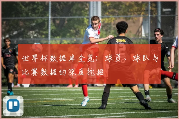 世界杯数据库全览：球员、球队与比赛数据的深度挖掘