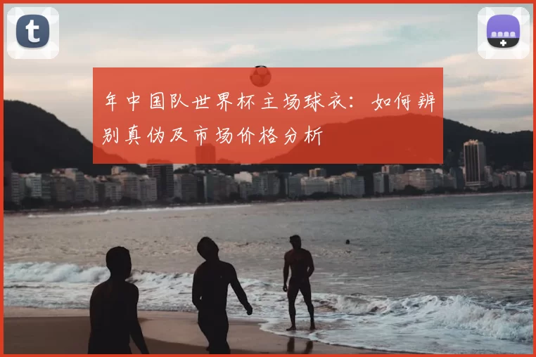 年中国队世界杯主场球衣：如何辨别真伪及市场价格分析