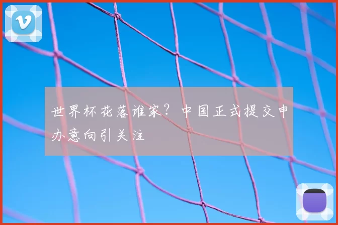 世界杯花落谁家？中国正式提交申办意向引关注