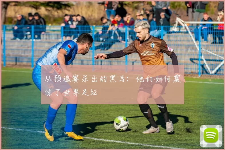 从预选赛杀出的黑马：他们如何震惊了世界足坛