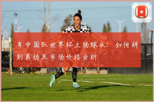 年中国队世界杯主场球衣：如何辨别真伪及市场价格分析
