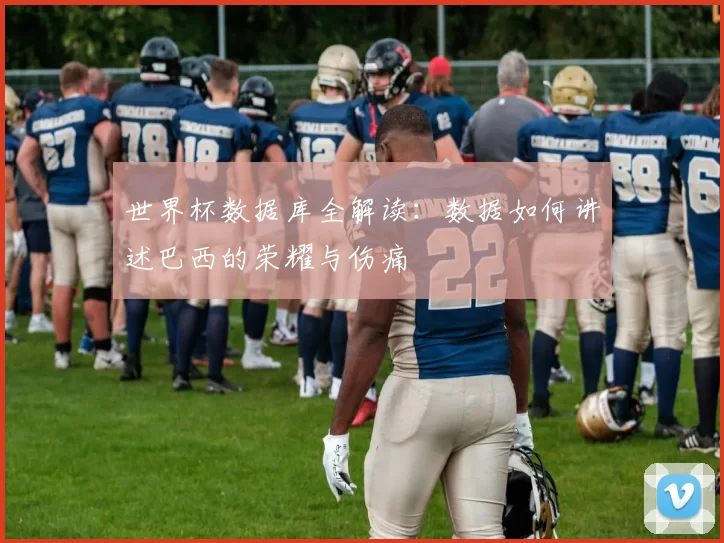 世界杯数据库全解读：数据如何讲述巴西的荣耀与伤痛