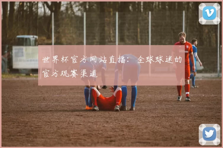 世界杯官方网站直播：全球球迷的官方观赛渠道