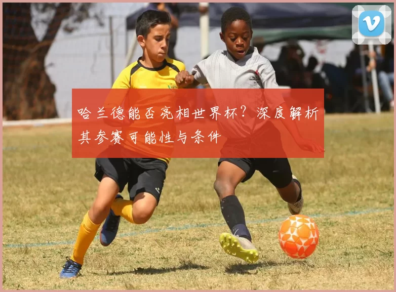 哈兰德能否亮相世界杯？深度解析其参赛可能性与条件