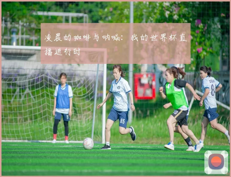 凌晨的咖啡与呐喊：我的世界杯直播进行时
